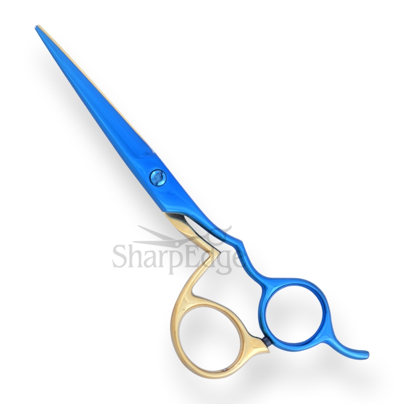 Professional Hair Dressing Scissors 